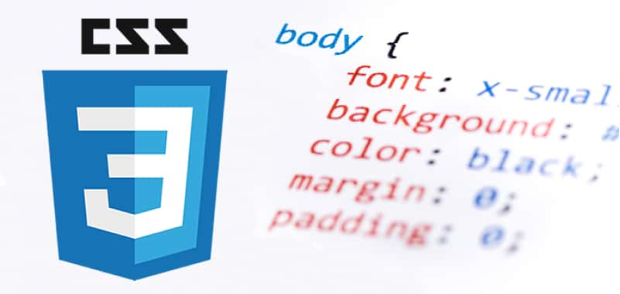 imagen del logo de CSS